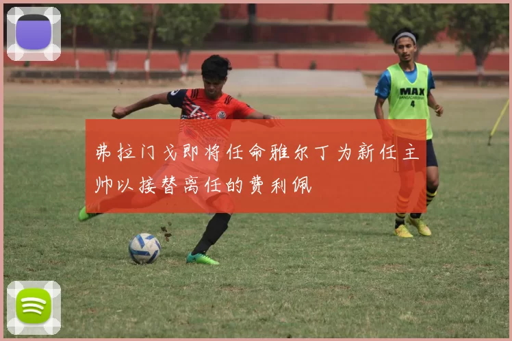 弗拉门戈即将任命雅尔丁为新任主帅以接替离任的费利佩