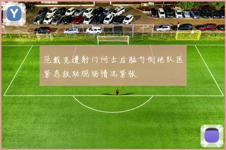 范戴克遭射门闷击后脑勺倒地队医紧急救助现场情况紧张